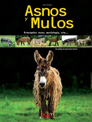 cover image of Asnos y mulos